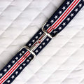INDY with Silver Snaffle Bit Buckle