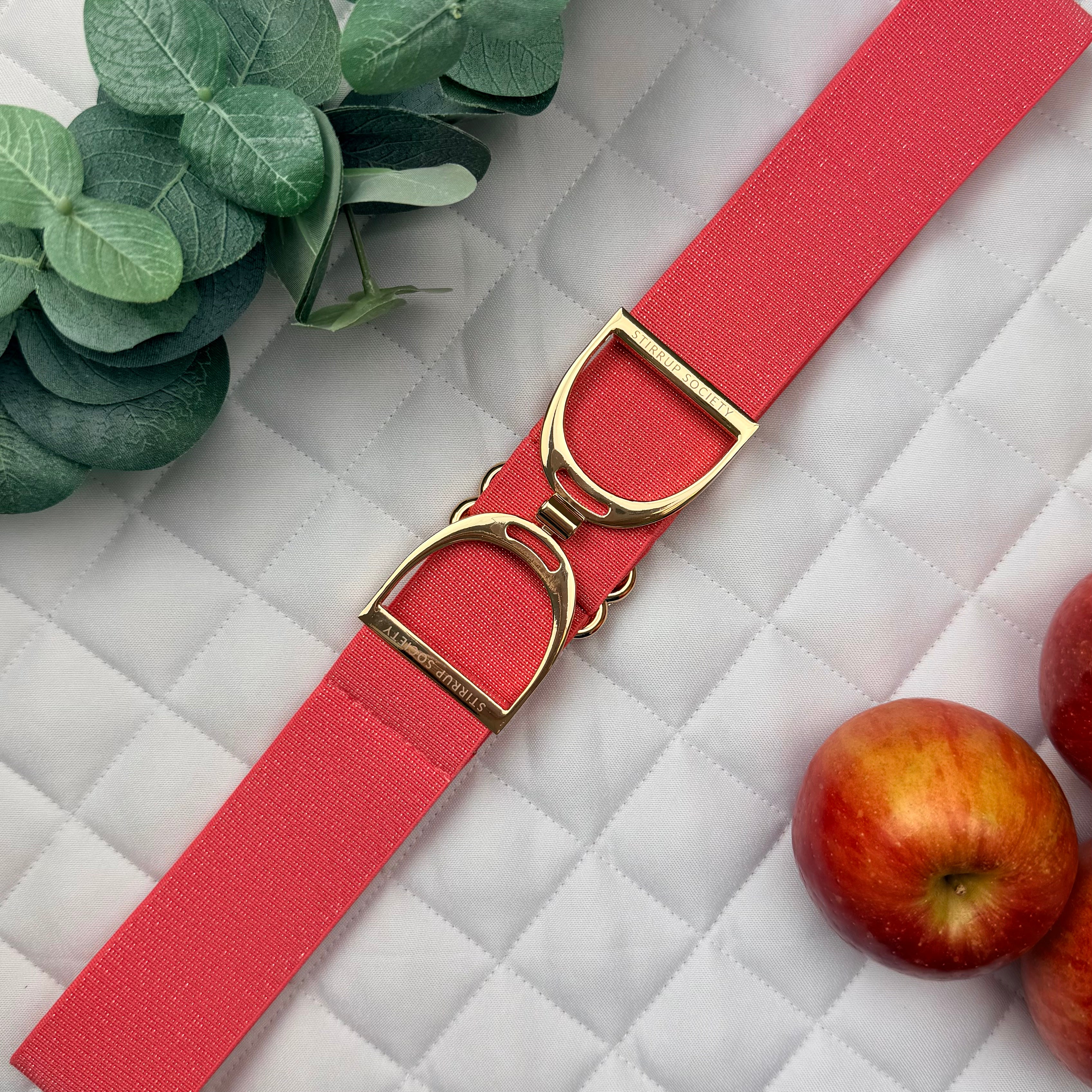 BARBIE with Gold Stirrup Buckle