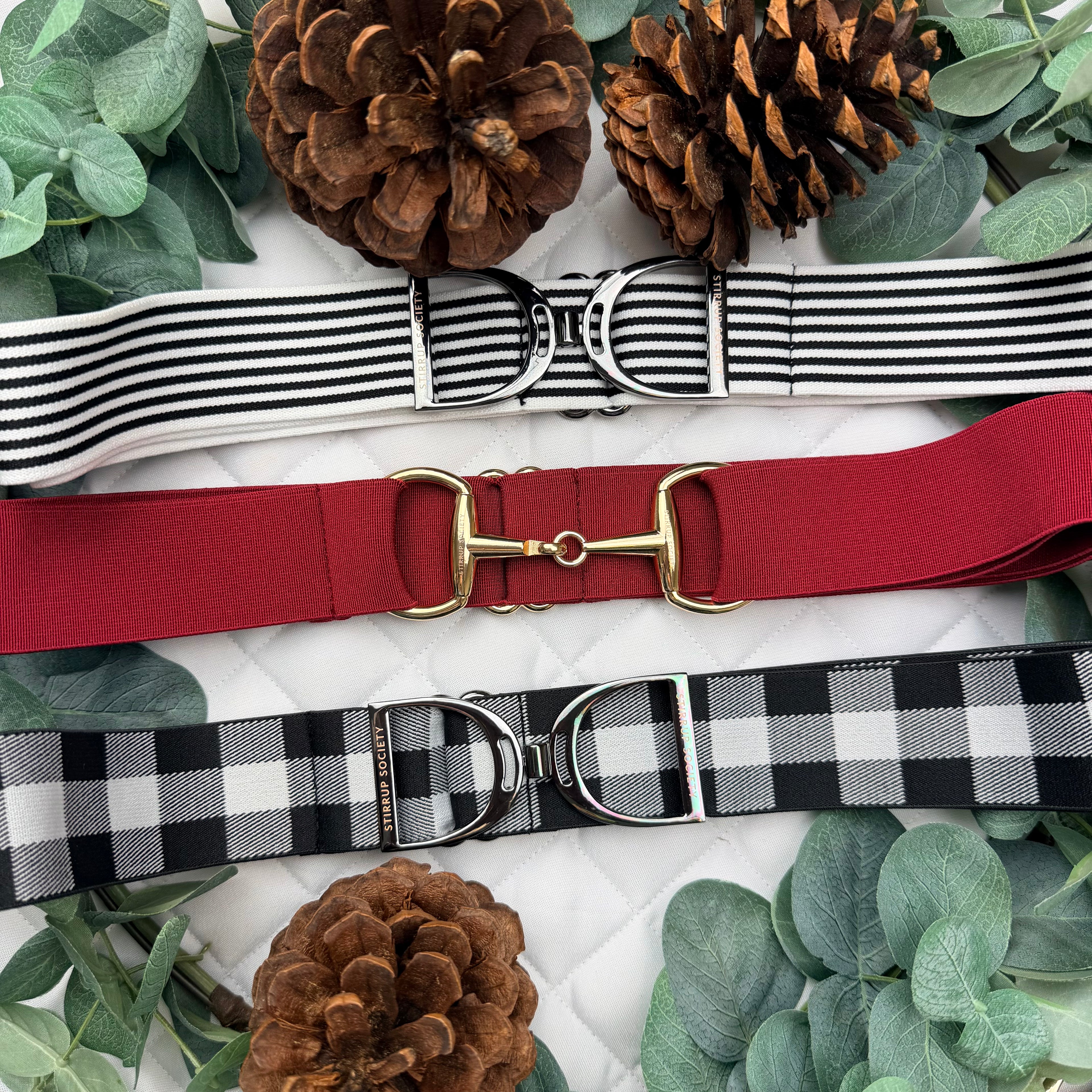 VALENTINO with Gold Snaffle Buckle