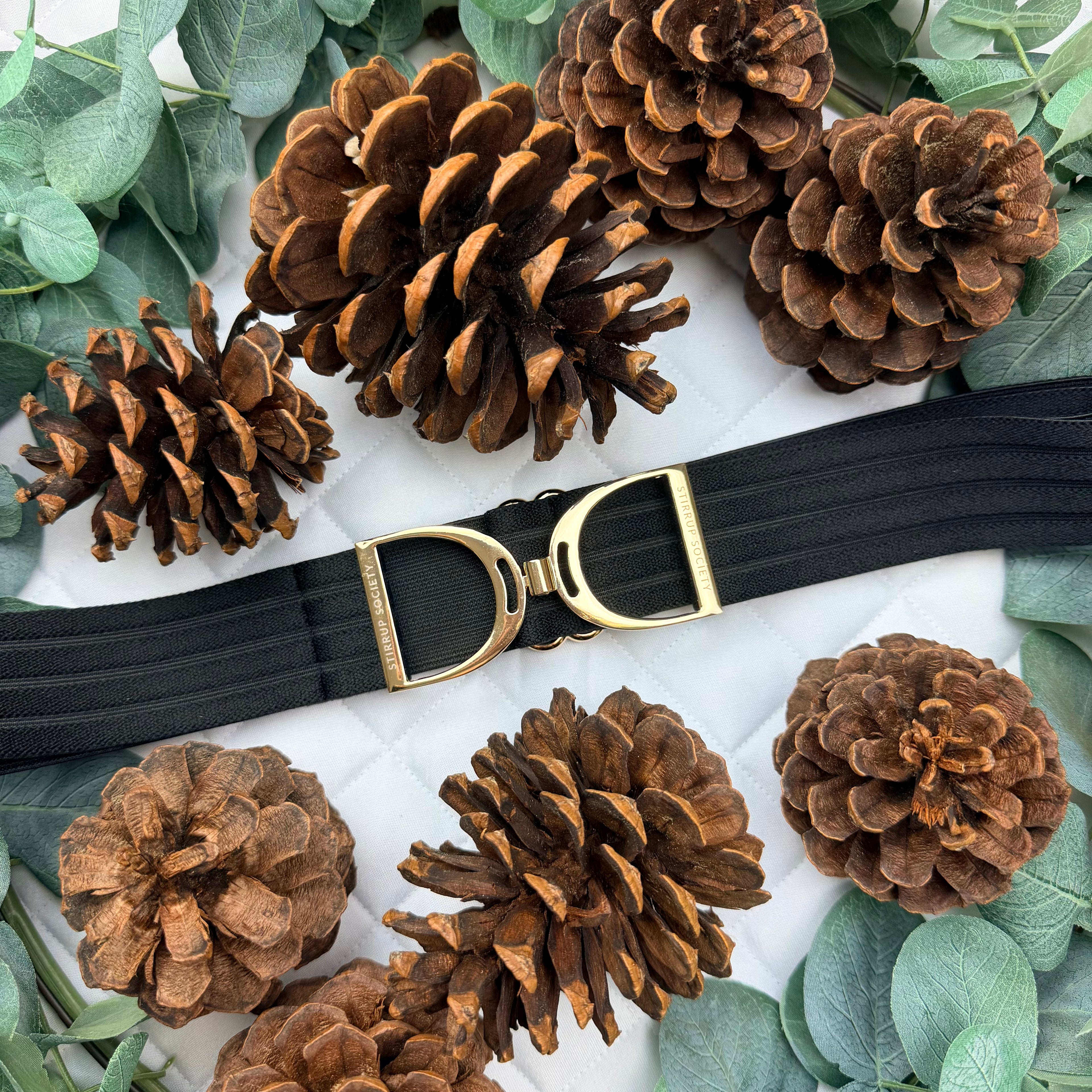 JASPER with Gold Stirrup Buckle