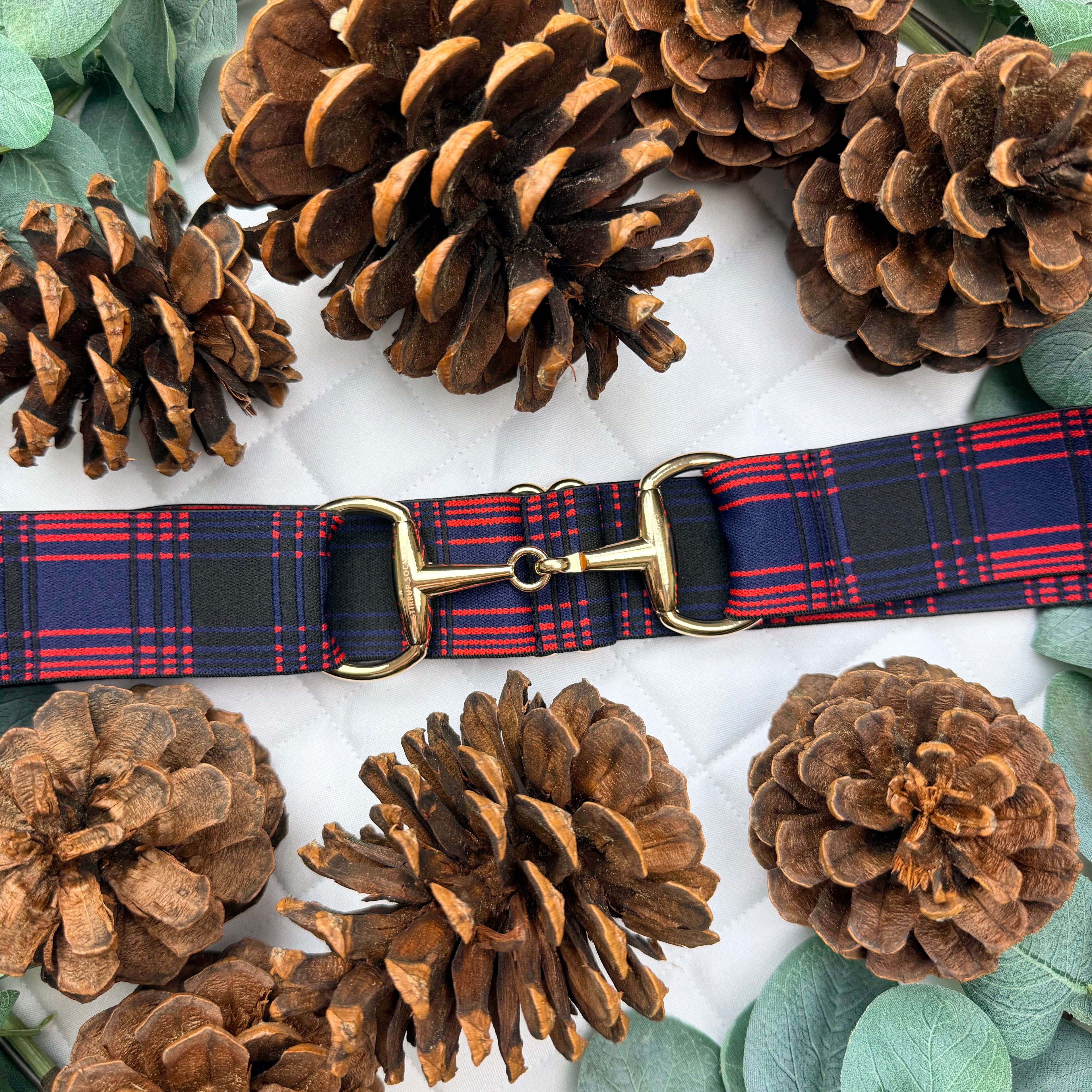 RIVER with Gold Snaffle Buckle