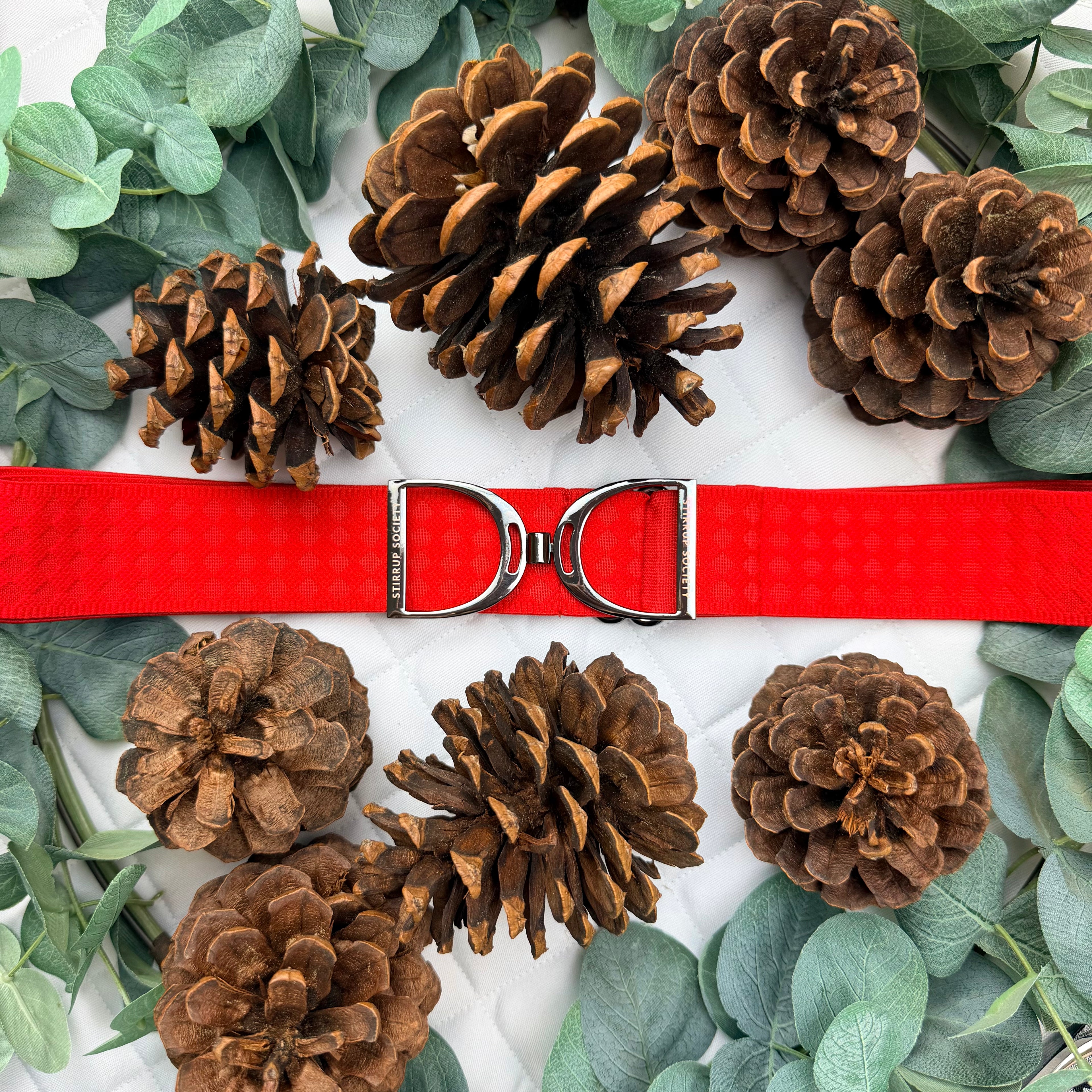 BRIGHTON with Silver Stirrup Buckle