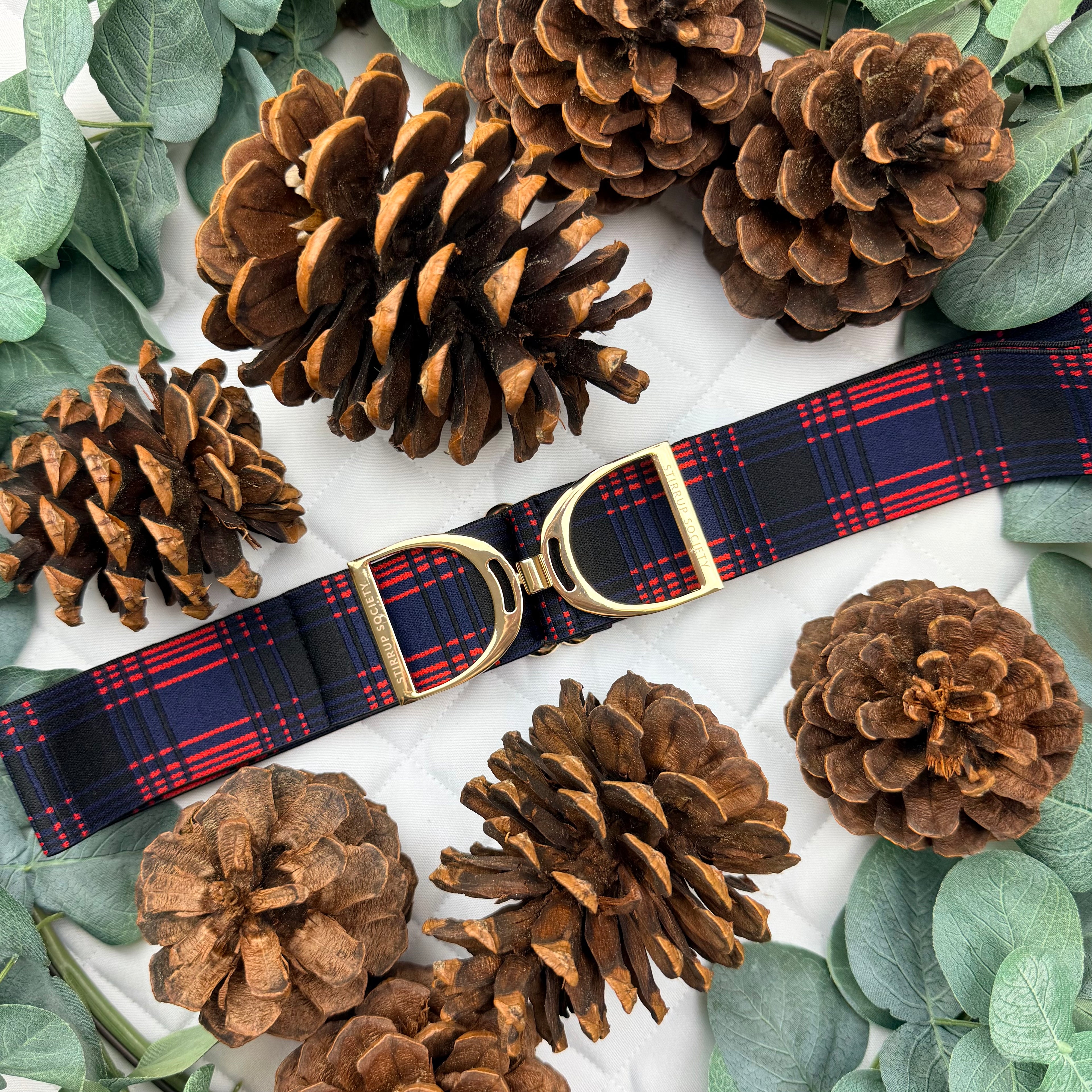 RIVER with Gold Stirrup Buckle