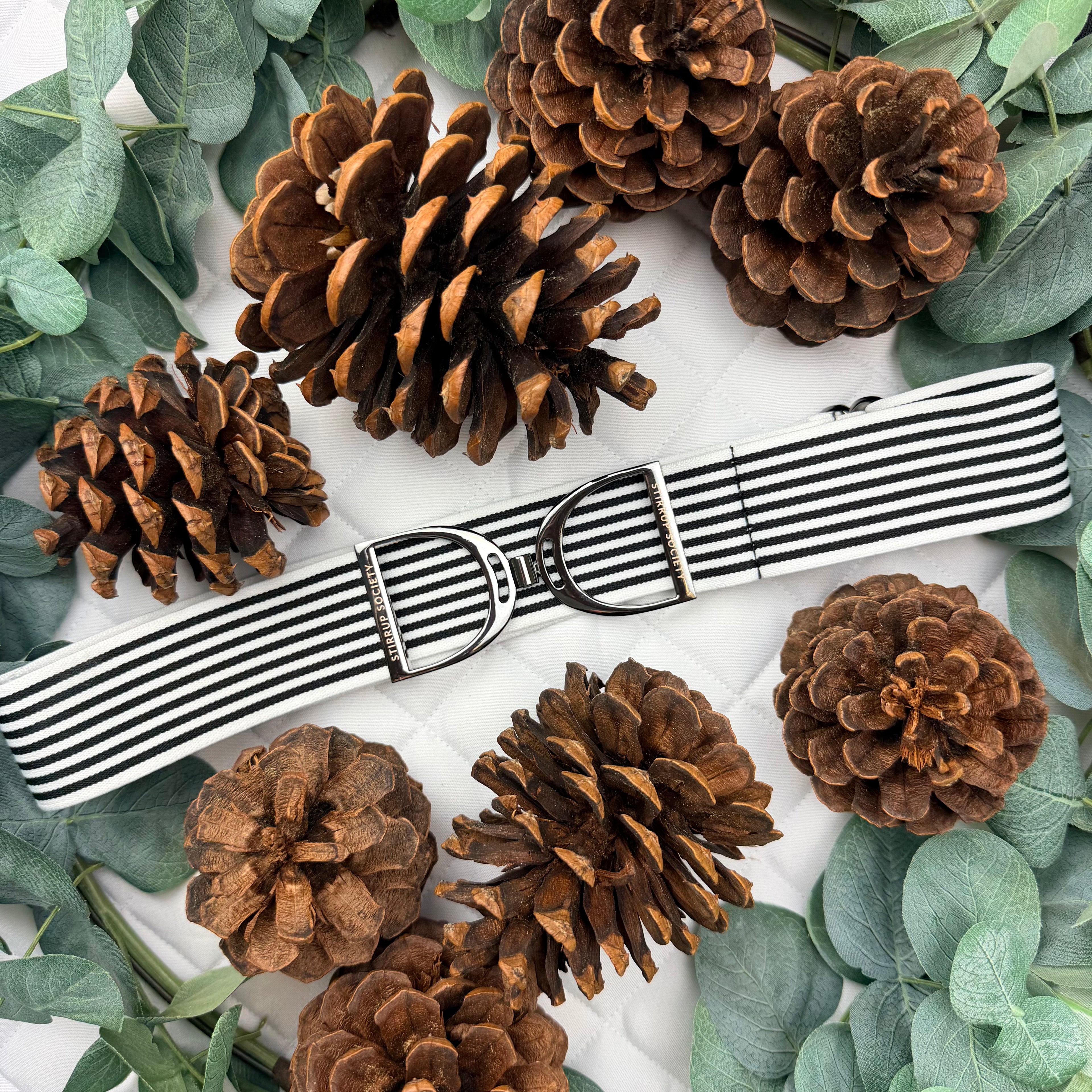 DAISY with Hematite Stirrup Buckle