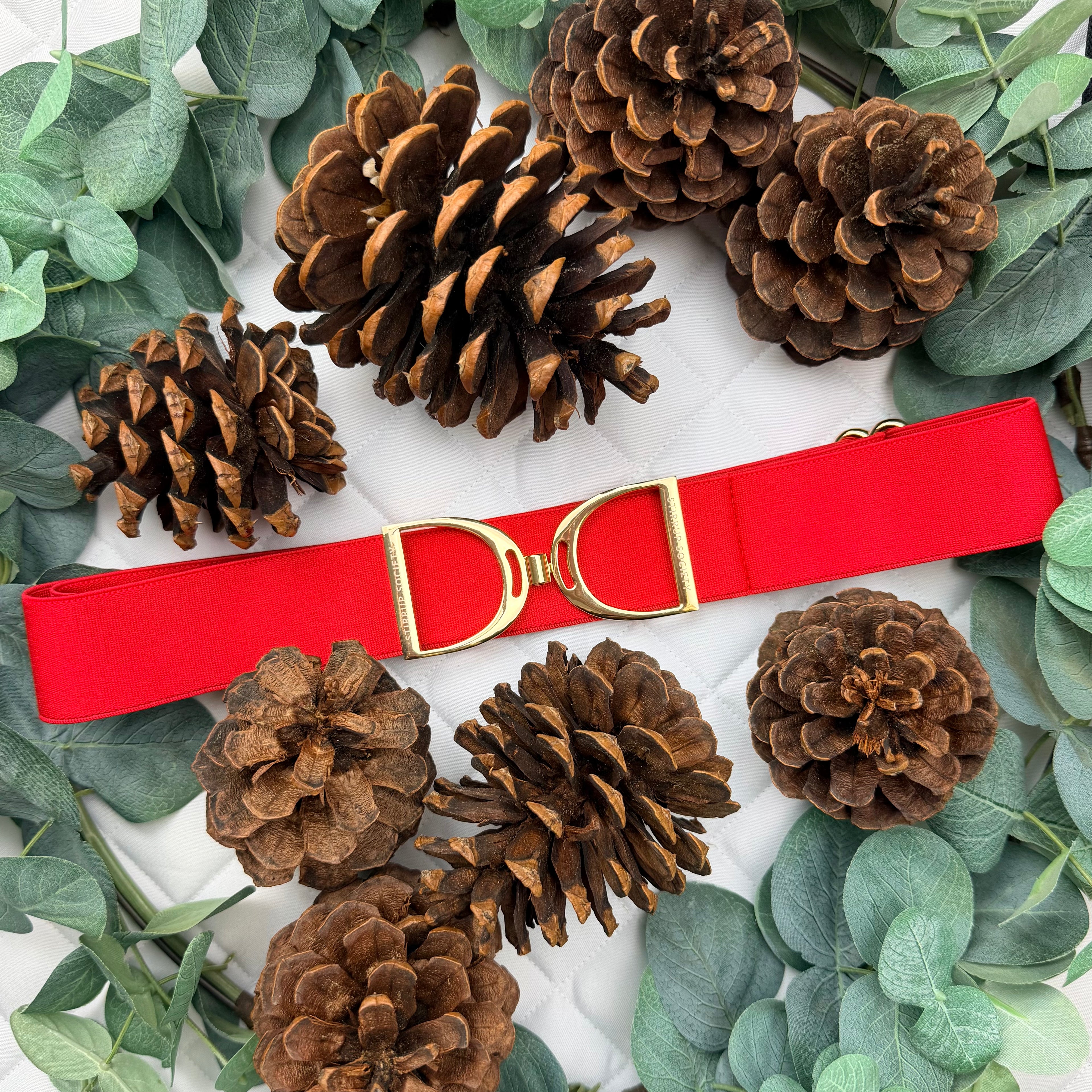 CALVIN with Gold Stirrup Buckle